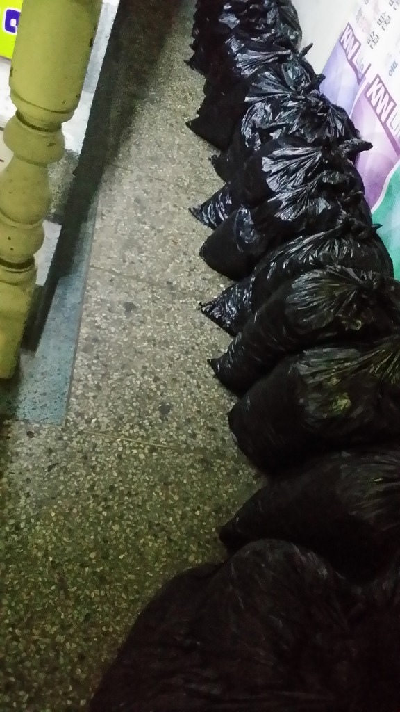 콩나물공장 이미지