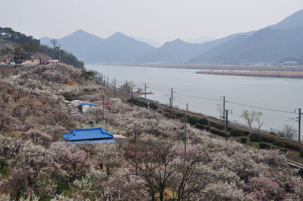 원동 이미지