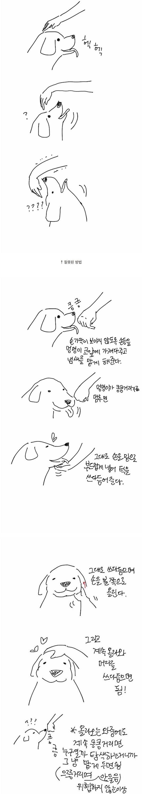 강아지 머리 쓰다듬는 방법.manwha | 인스티즈