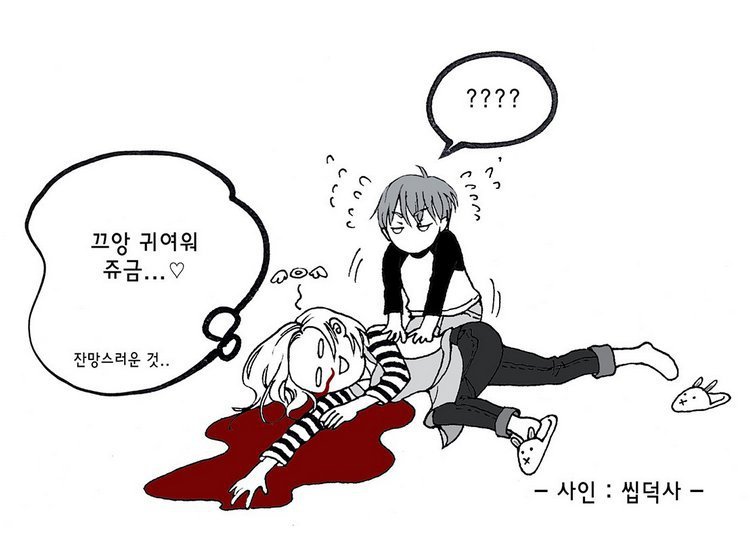 새끼 고양이와 올빼미.JPG | 인스티즈