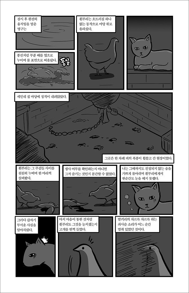 묘생만경 | 인스티즈