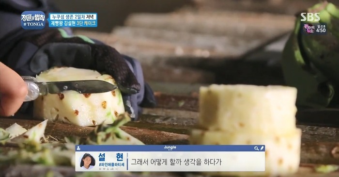 정글에서 생일을 맞은 찬성을 위해 설현이 만든 파인애플 3단케이크.jpg | 인스티즈