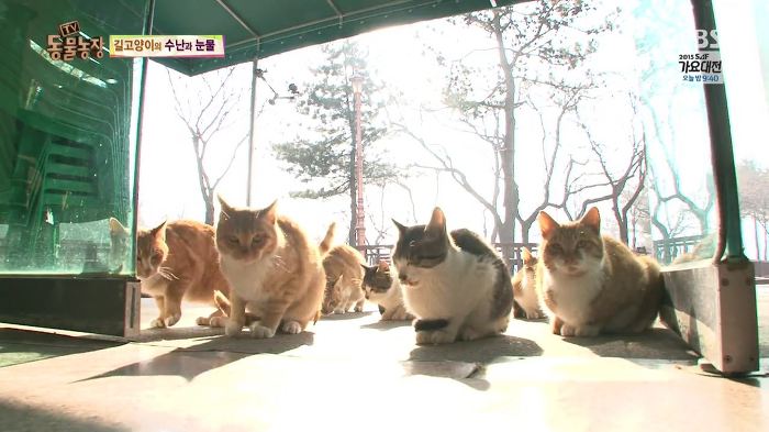 눈앞에서 제 아이가 맞아죽었습니다. 도와주세요 | 인스티즈