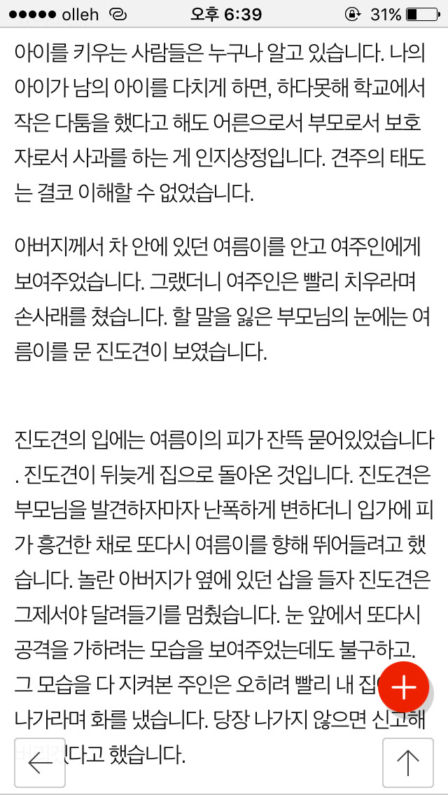 저희 개가 (여름이) 다른 개에게 물려 죽었습니다...(사진) | 인스티즈
