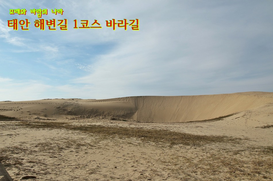바다바라길 이미지