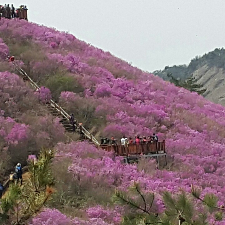 청량수산 이미지