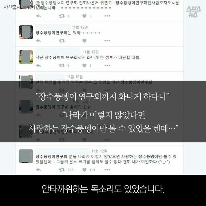 광화문 집회에 나온 장수풍데이 연구회의 진실.jpg | 인스티즈