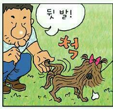 아지 이미지