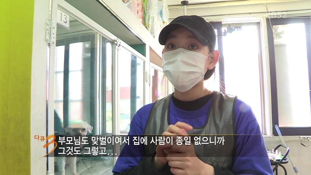 다큐 3일 보면서 안타까웠던 강아지..ㅠㅠ | 인스티즈