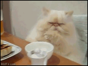왜 뚜껑을 안 여니? | 인스티즈