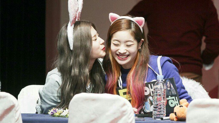 두부 좋아하는 사나 | 인스티즈