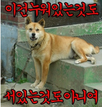 앙 이미지