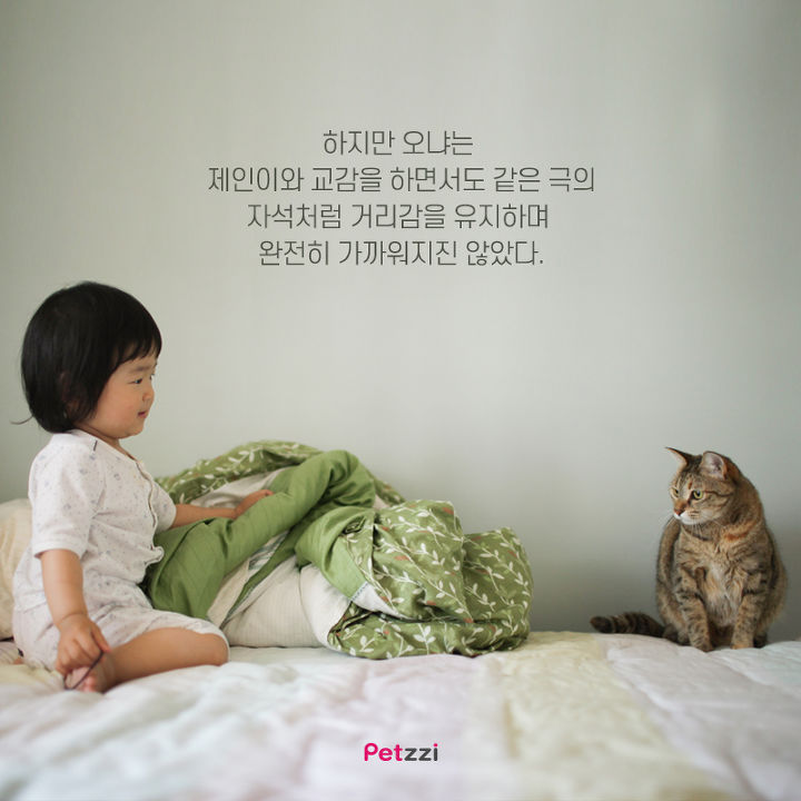 아기와 고양이의 교감 | 인스티즈