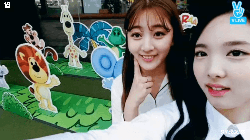 [트와이스] V앱 나연. 샤샤샤 | 인스티즈