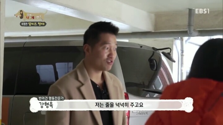 공격적인 반려견이 되는 이유 2부.jp | 인스티즈