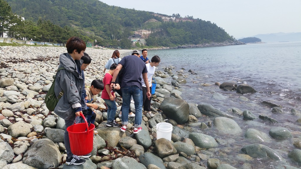 물고기수산 이미지