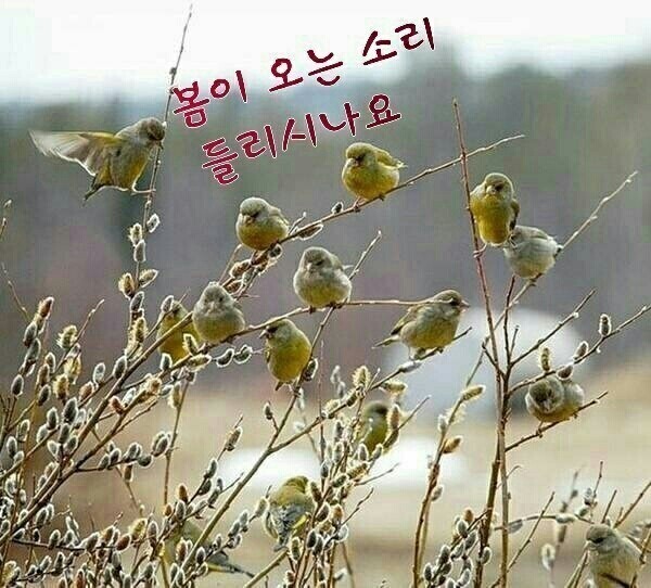 천봉 이미지