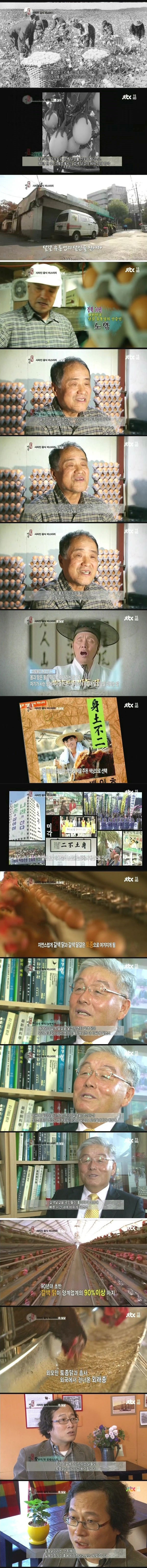 흰 달걀이 사라지는 이유 | 인스티즈