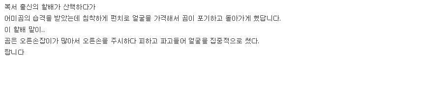 복서한테 함부로 개기면 안되는 이유.jpg | 인스티즈