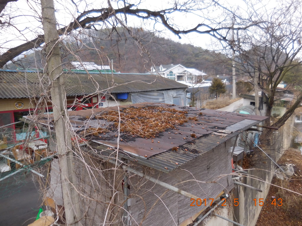 수산(자웅산) 이미지