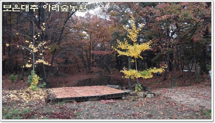 보은대추아리숲농원 이미지