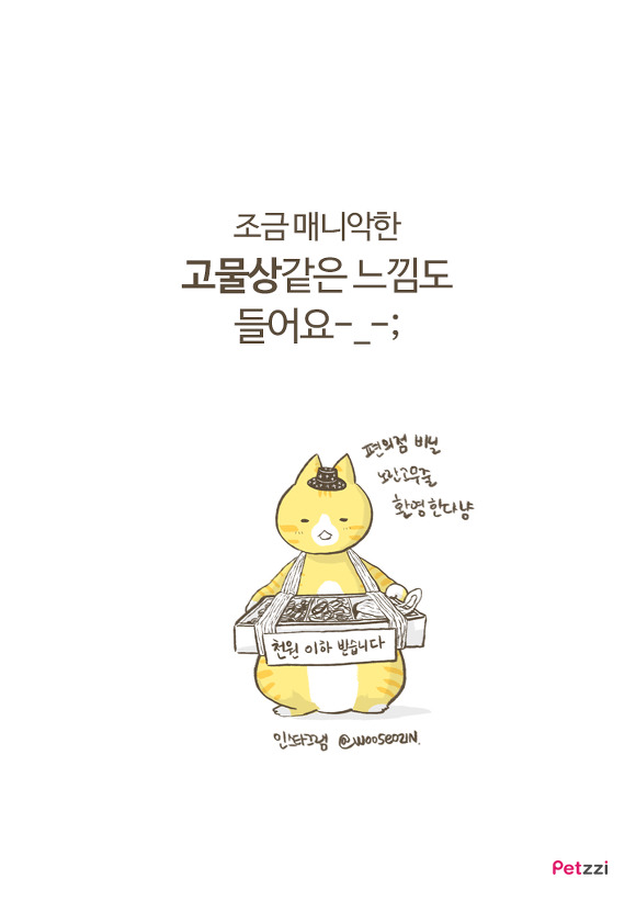 고양이 키우다 보면 느끼는 고양이의 소소한 취향.jpg | 인스티즈