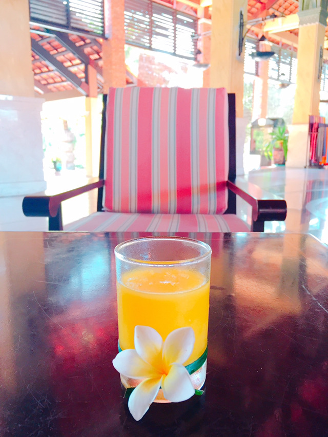 베트남 (하노이,무이네,호치민) 여행 음식 사진!! | 인스티즈