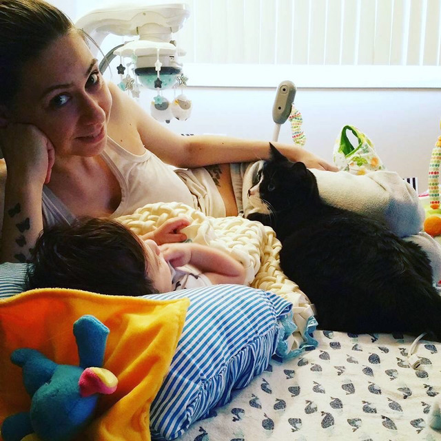아기가 태어나기 전부터 사랑에 빠진 고양이.jpg | 인스티즈