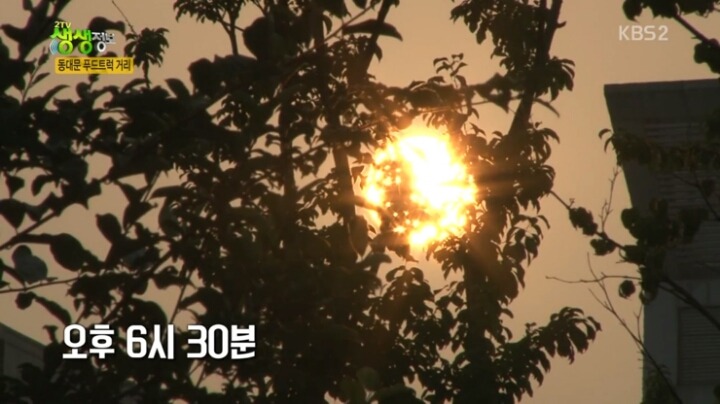 동대문 푸드트럭거리.jpg | 인스티즈