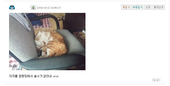 인벤러의 천하제일 의자대회 | 인스티즈