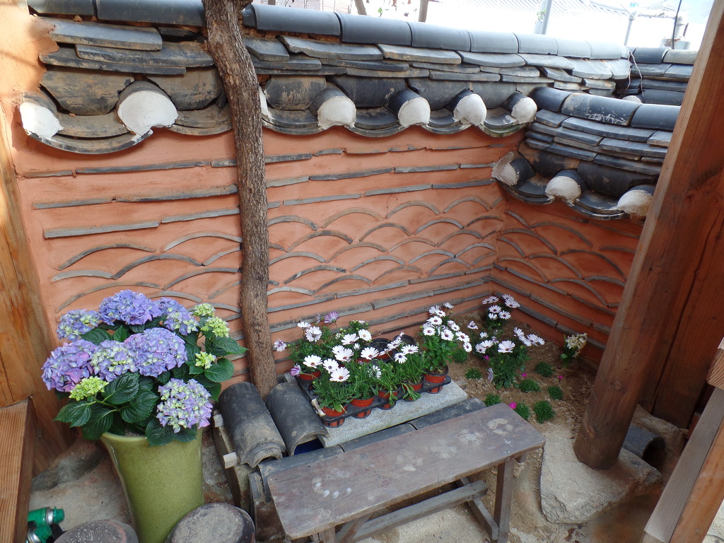 한옥마을의 화사한 봄꽃 감상 | 인스티즈