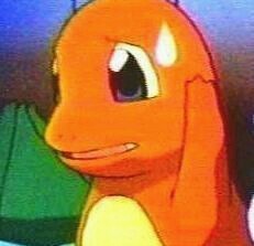 데이터 주의) 카톡에서 쓸만한 파이리짤 대방출 | 인스티즈