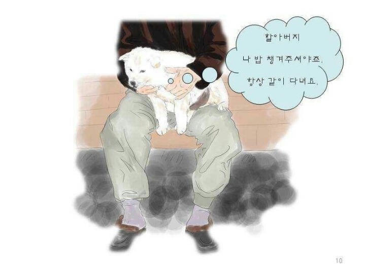 치매 할아버지를 구한 풍산개 | 인스티즈