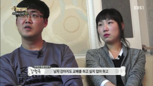 교배 업체에 보낸 후 사나워진 강아지 릴리 | 인스티즈