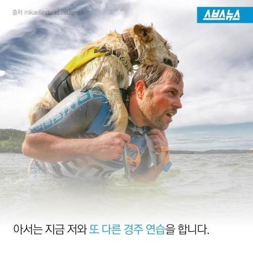 길에서 만난 친구 | 인스티즈