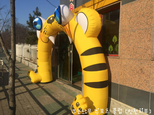 동산스포츠 이미지