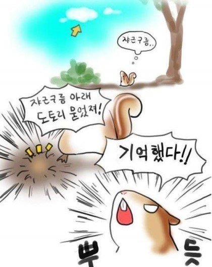 다람쥐가 묻은 도토리를 못찾는 이유 | 인스티즈