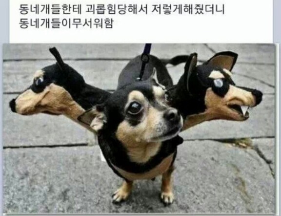 이김 이미지