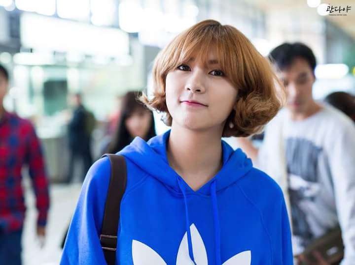 에이핑크 오하영 장발vs단발 | 인스티즈