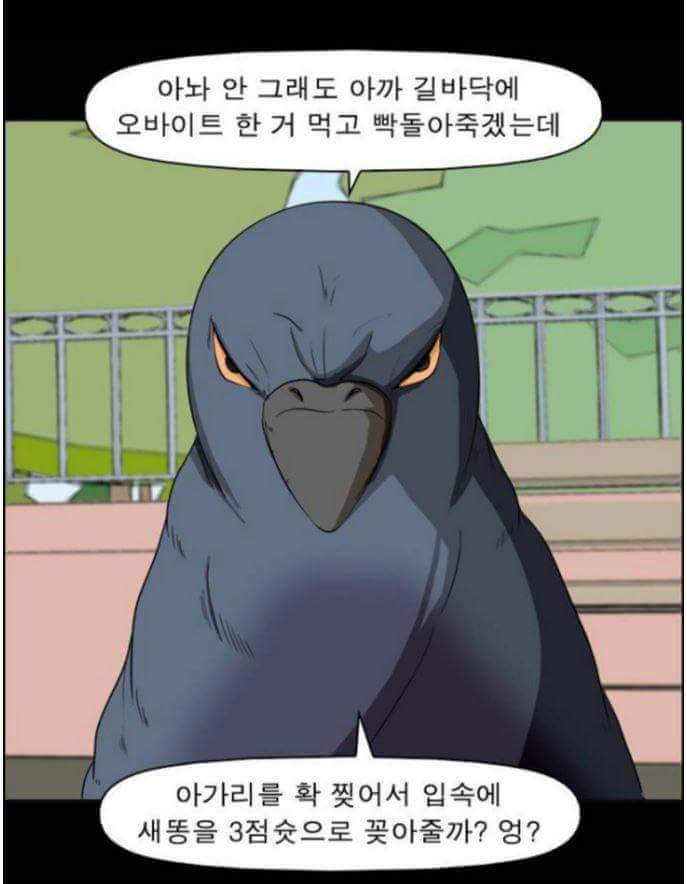 동물들이 말을 할 수 있다면 일어나는 일 | 인스티즈