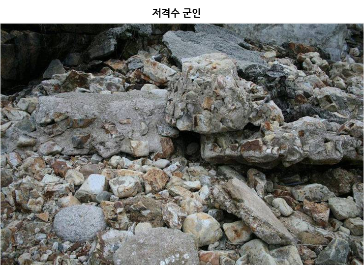 5초 안에 못 찾으면 사망 | 인스티즈