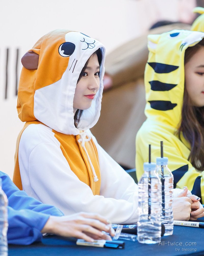 트와이스 사나 | 인스티즈
