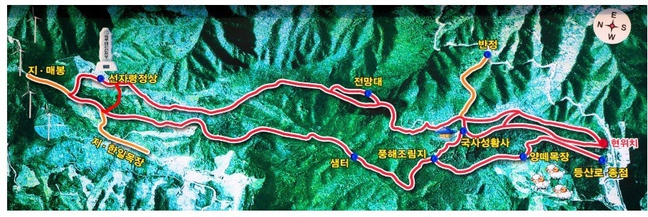 조*환1 이미지