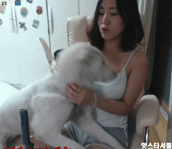 하.... 이런 개만도 못한 인생... | 인스티즈