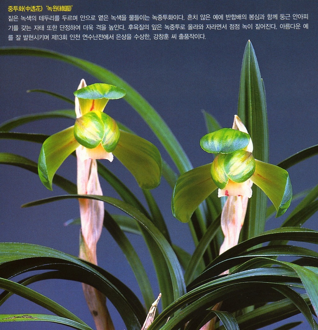녹원 이미지