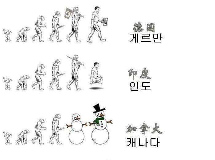 국가별 인류의 진화 | 인스티즈