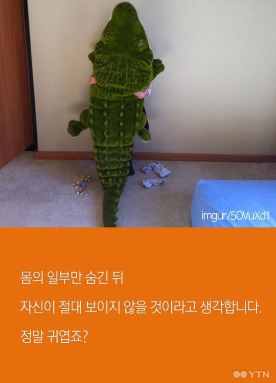 아이들이 반드시 숨바꼭질을 해야하는 이유 | 인스티즈