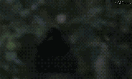 설마했던 니가 나를 떠나버렸어.gif | 인스티즈