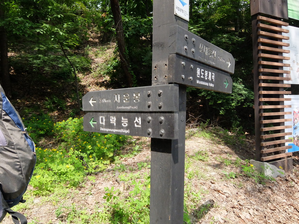 꽃다락 이미지