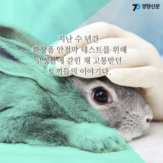 동물실험을 안하는 화장품을 쓰시지말입니다.jpg | 인스티즈
